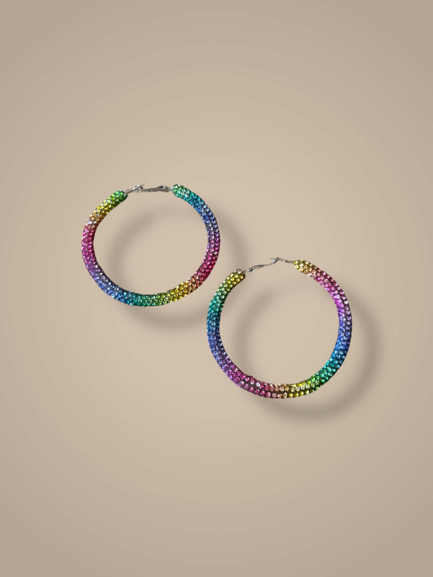 Rainbow Hoop Earrings